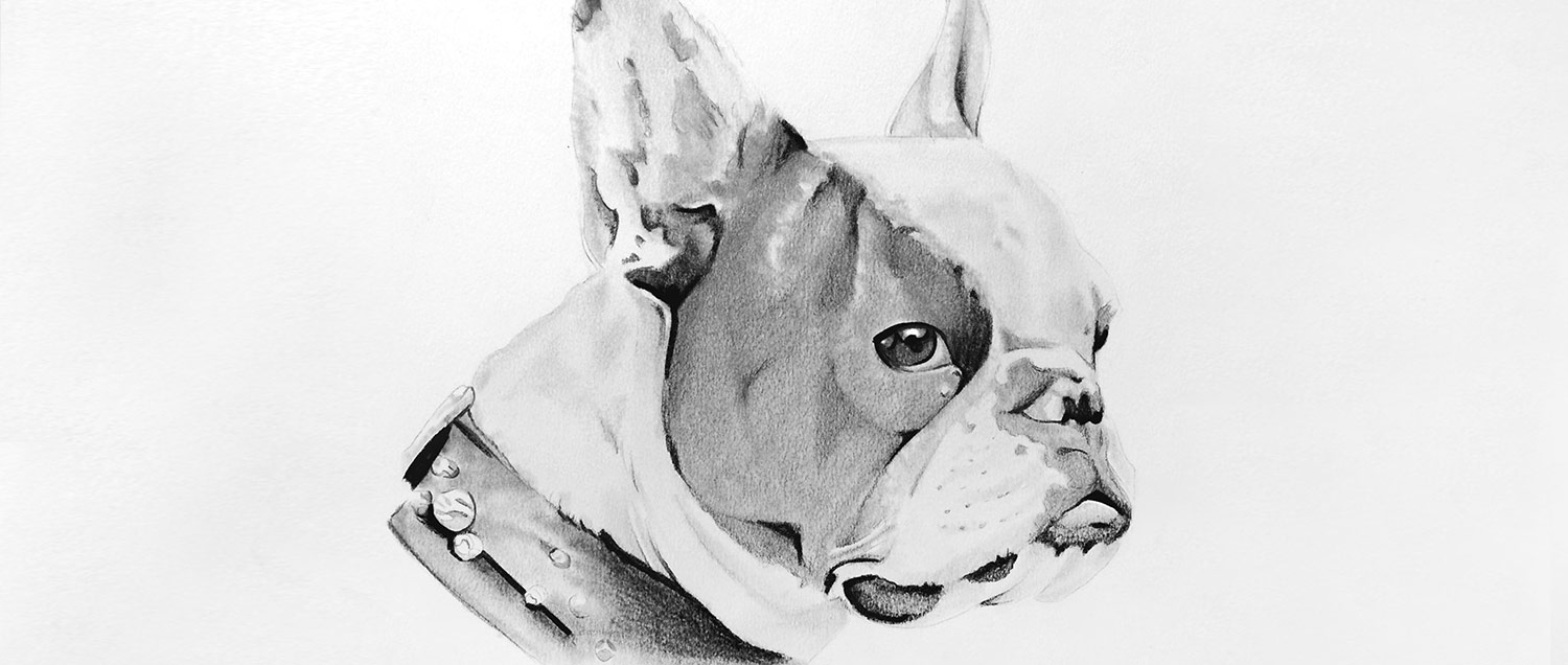 Tierportrait Hundezeichnung