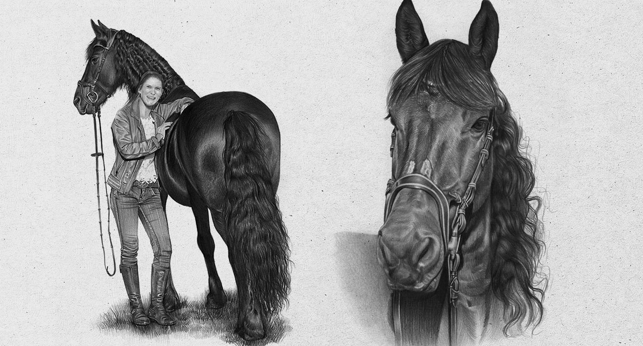 Pferd zeichnen Bleistift mit und ohne Reiterin